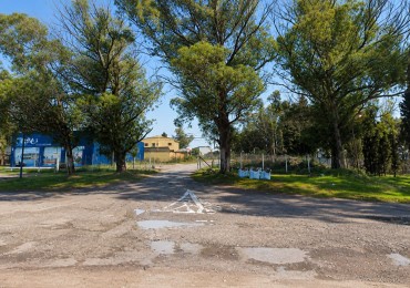 3 LOTES SOBRE AV. JORGE NEWBERY